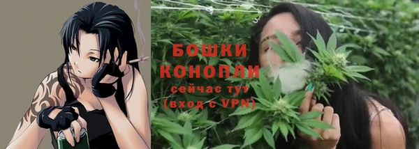 соль ск Балабаново